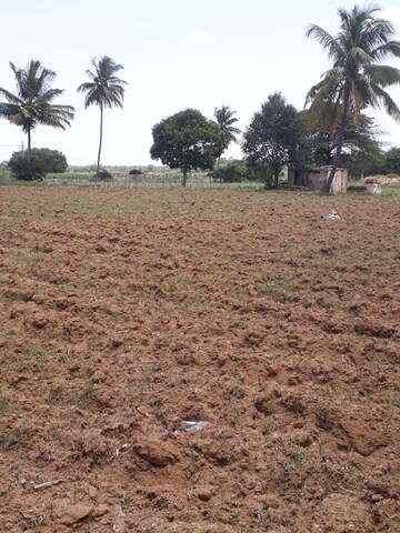 Plot Area in  Land at KolaR-Srinivaspur Road – for Sale