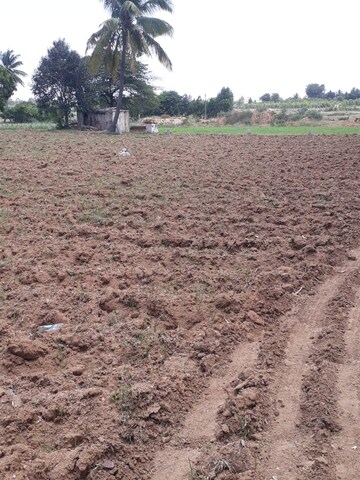 Plot Area in  Land at KolaR-Srinivaspur Road – for Sale