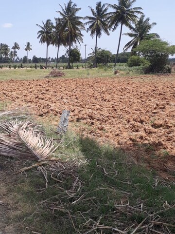 Plot Area in  Land at KolaR-Srinivaspur Road – for Sale