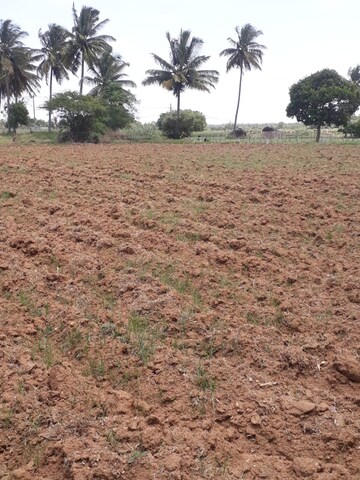Plot Area in  Land at KolaR-Srinivaspur Road – for Sale