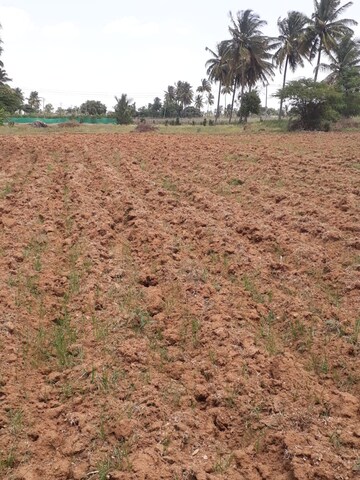 Plot Area in  Land at KolaR-Srinivaspur Road – for Sale