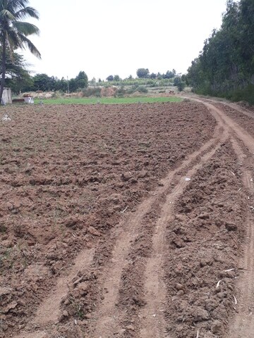 Plot Area in  Land at KolaR-Srinivaspur Road – for Sale