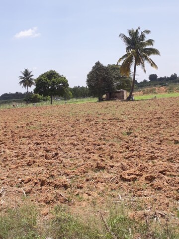  Land For Sale in KolaR-Srinivaspur Road