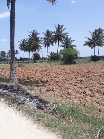 Plot Area in  Land at KolaR-Srinivaspur Road – for Sale
