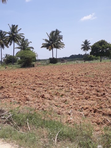 Plot Area in  Land at KolaR-Srinivaspur Road – for Sale