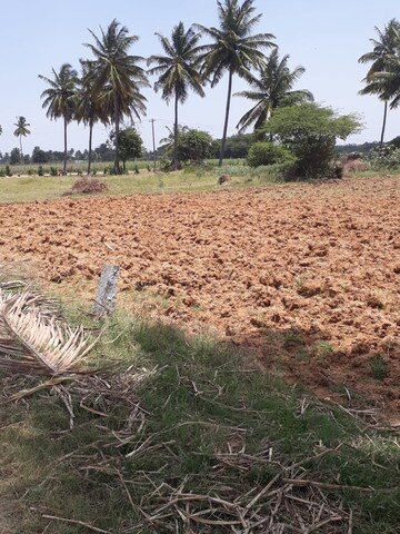 Plot Area in  Land at KolaR-Srinivaspur Road – for Sale