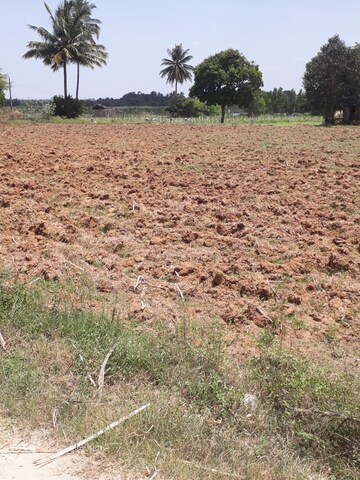 Plot Area in  Land at KolaR-Srinivaspur Road – for Sale