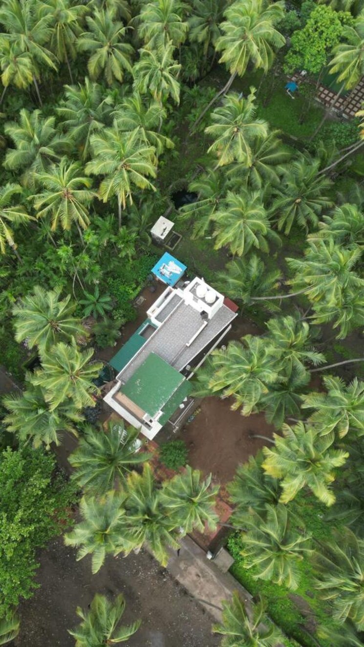 Exterior View, alibag 6 Bedroom 8000 Sq.Ft. Independent House In Alibag Raigad 8903162