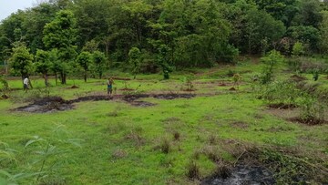  Plot For Sale in Ahmedabad Cantonment