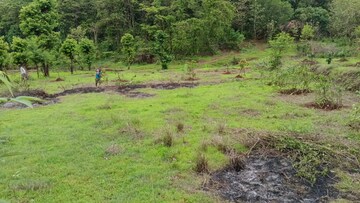 Plot Area in  Plot at Ahmedabad Cantonment – for Sale