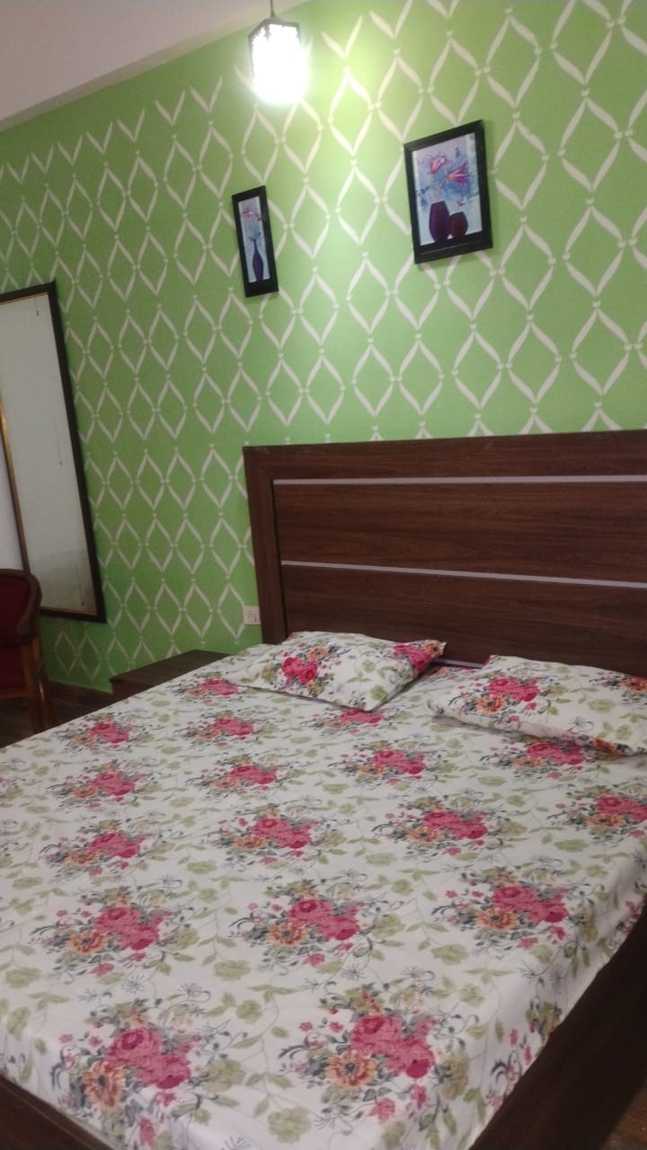 1 BHK 435 Sq.Ft. Apartment in Paramount Golfforeste