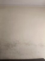 4 BHK + Pooja Room 3276 Sq.Ft. Builder Floor in Rudra