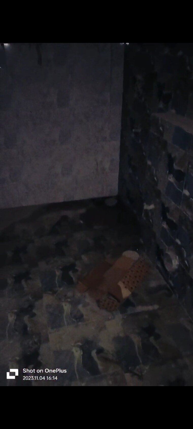 Kitchen, slf-anushree 3 Bedroom 1600 Sq.Ft. Apartment In Sector 75 Faridabad 8910810