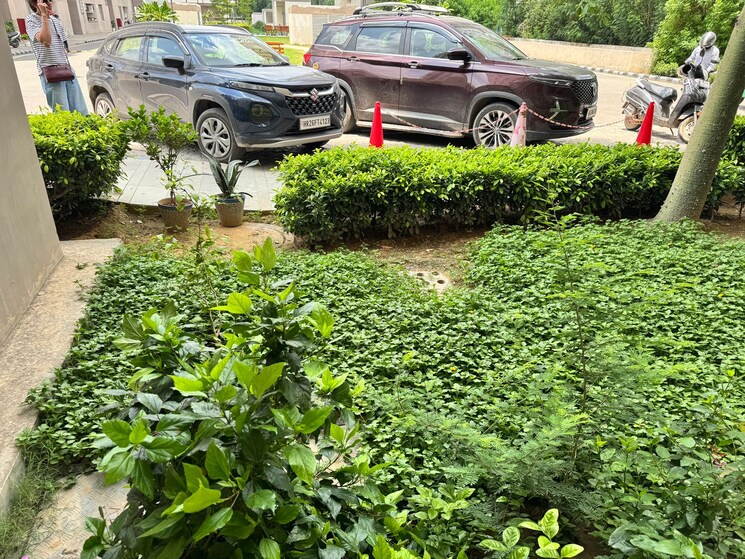 Exterior View, vatika-gurgaon-21 4 Bedroom 2404 Sq.Ft. Apartment In Sector 83 Gurgaon 8911076