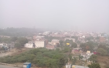 3 BHK Apartment For Rent in Terra Lavinium, Sector 75