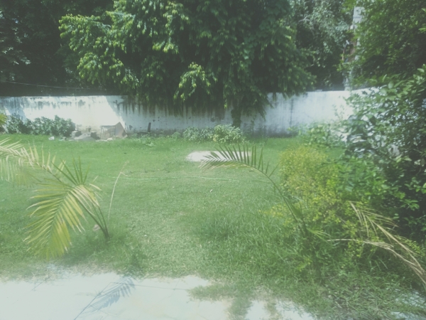 2 BHK Villa For Rent in Greenwood City