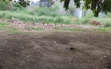 Plot For Sale in South City 1