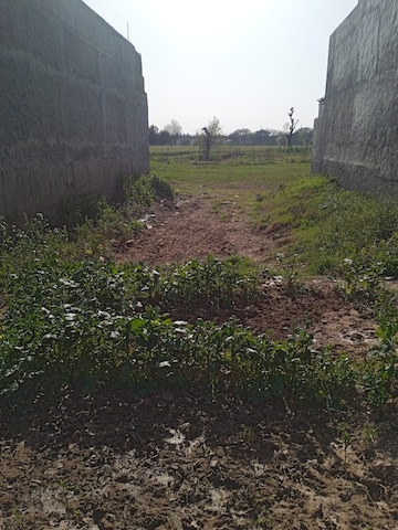 Plot Area in  Plot at Sector 110 – for Sale