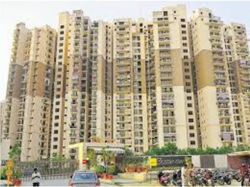  Pg For Rent in Sector 137
