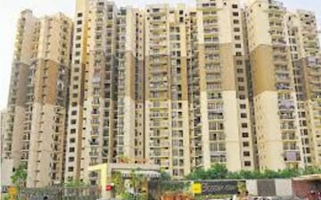 Pg For Rent in Sector 137