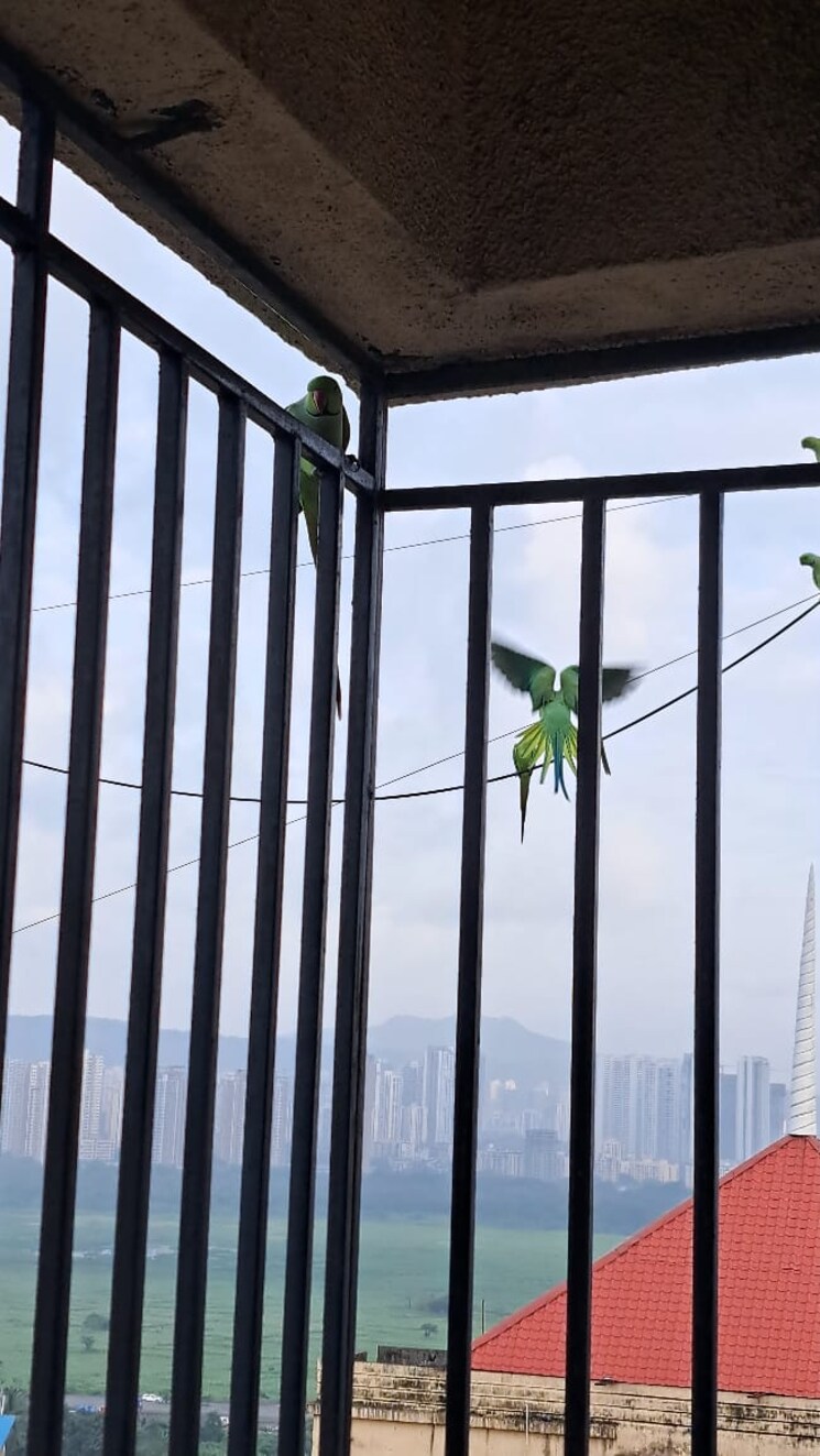 Balcony, shree-nandanvan-homes 3.5 Bedroom 1800 Sq.Ft. Apartment In Kalwa Thane 8912120