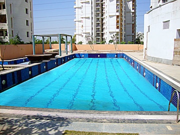Swimming Pool in 2 BHK Apartment at BPTP Princess Park, Sector 86 – for Rent