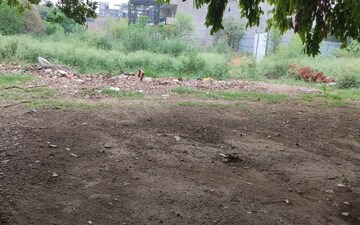 Plot For Sale in Dlf Phase ii