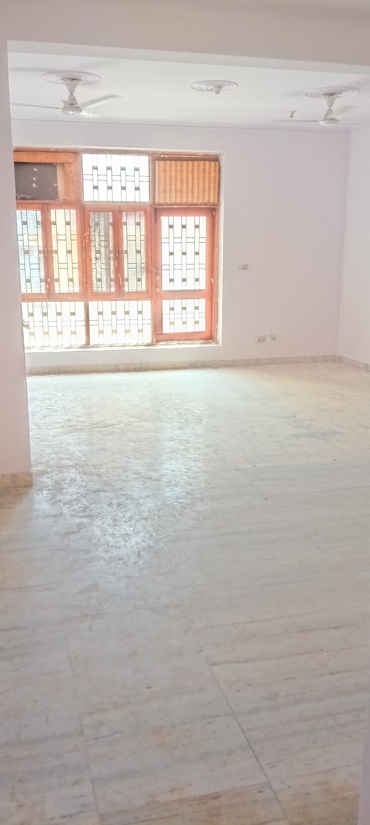 Room, rwa-apartments-sector-41 2.5 Bedroom 180 Sq.Mt. Builder Floor In Sector 41 Noida 8912309