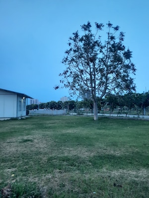  Plot – Exterior View View at Orris Woodview Residencies, Sector 89 - for Sale