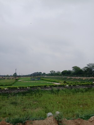  Plot – Garden View at Mansha Orchid, Sector 110 - for Sale