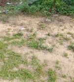 160 Sq.Yd. Plot in Sector 65