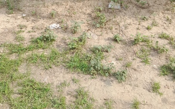 Plot For Sale in Sector 65