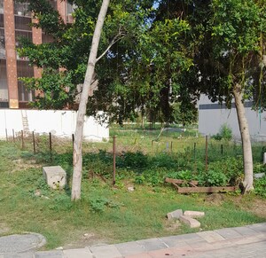  Plot For Sale in Sector 62