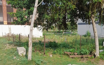 Plot For Sale in Sector 62