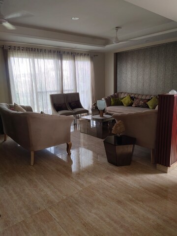 Living Room in 3 BHK Builder Floor at Sector 43 – for Rent