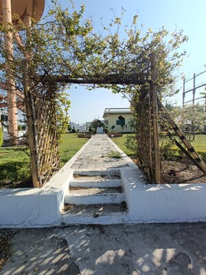  Plot – Exterior View View at Ringnodiya - for Sale