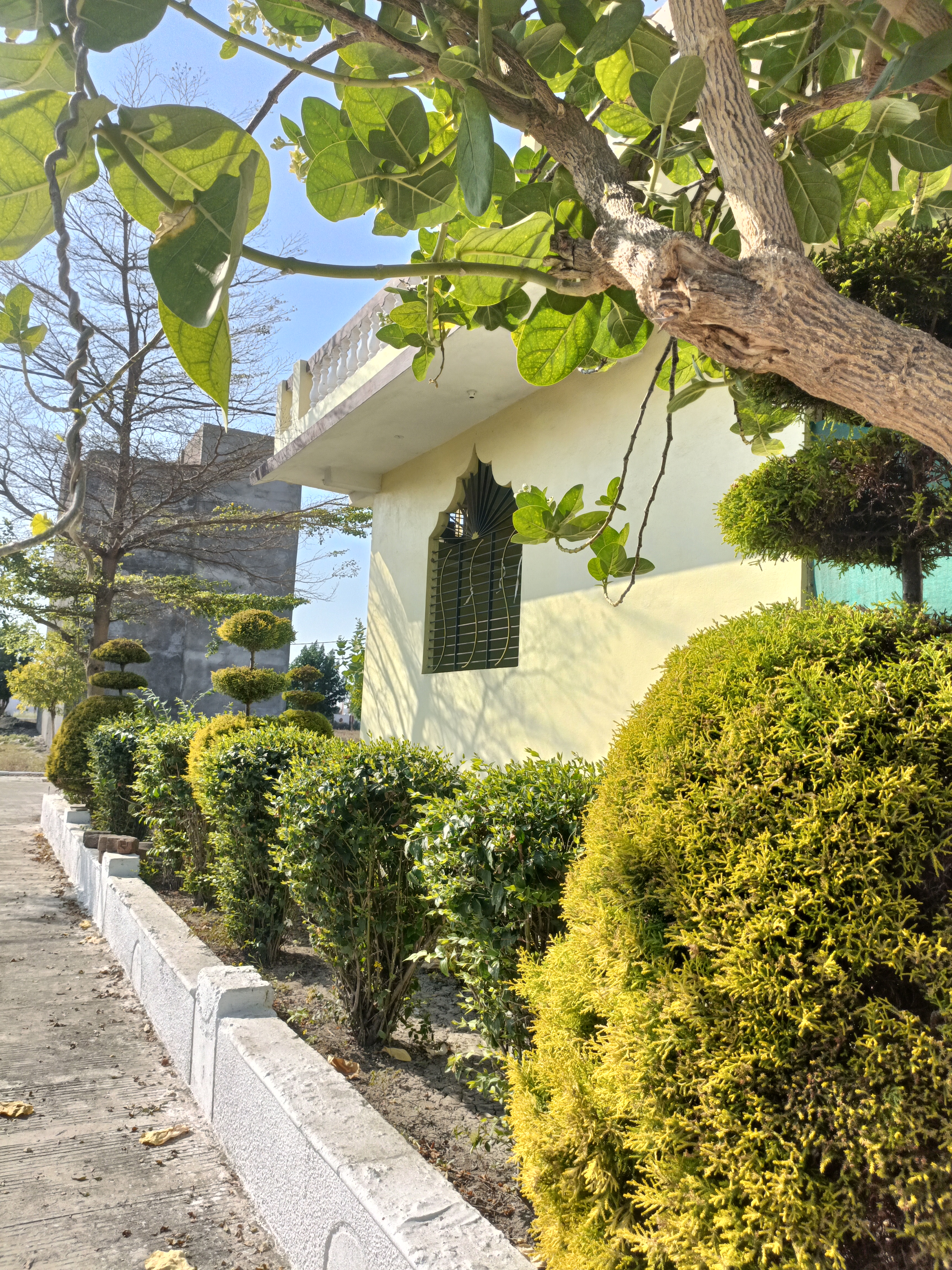 Plot For Sale in Millennium City