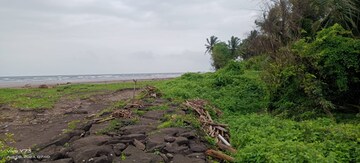 Plot Area in  Plot at Dapoli – for Sale