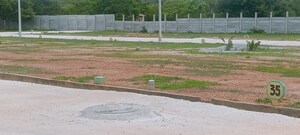 Plot Area in  Plot at Vidya Nagar – for Sale