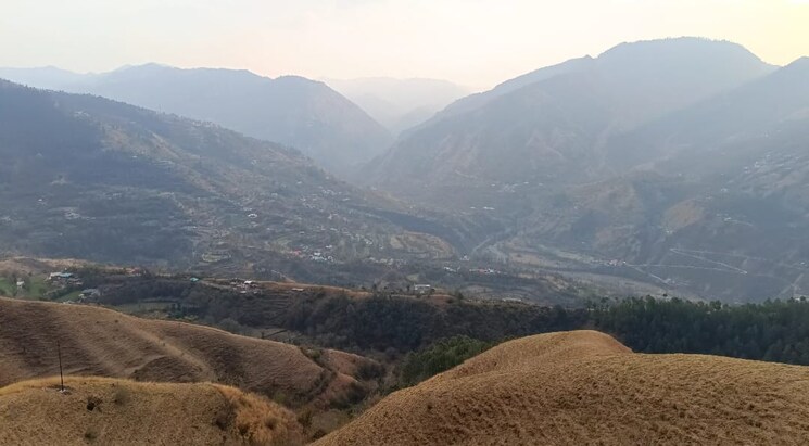 undefined, naldehra  400 Sq.Yd. Plot In Naldehra Shimla 8913226