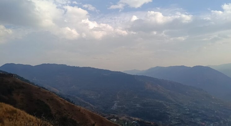 undefined, naldehra  400 Sq.Yd. Plot In Naldehra Shimla 8913226