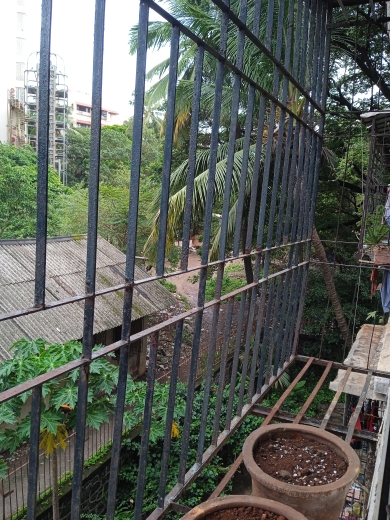 1 BHK Apartment For Rent in Mahalaxmi Colony Veera de