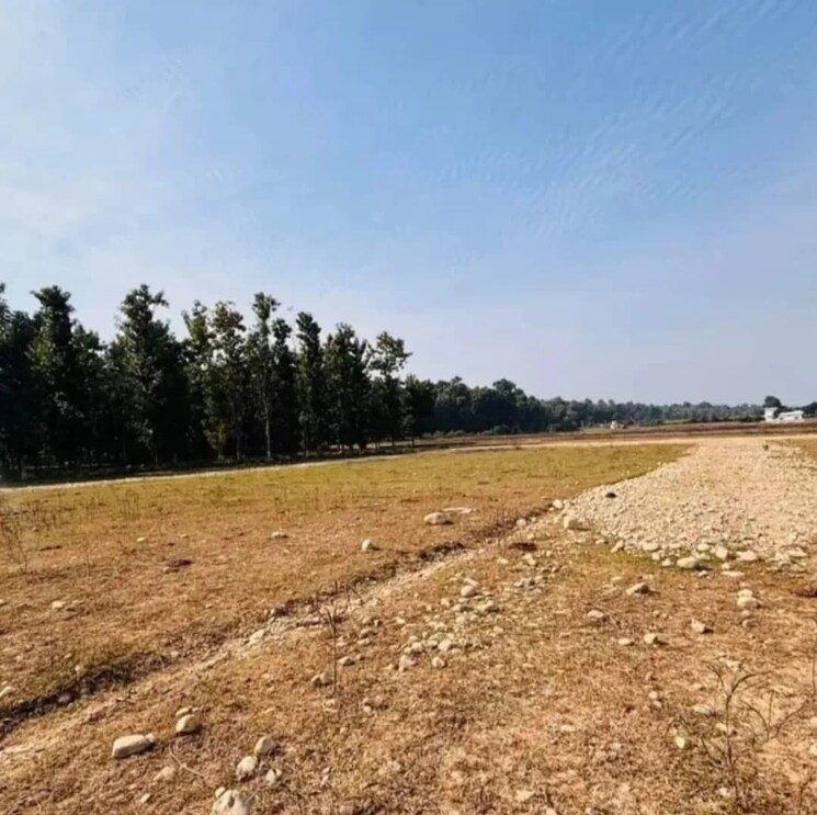 undefined, shimla bypass road  243 Sq.Yd. Plot In Shimla Bypass Road Dehradun 8913396