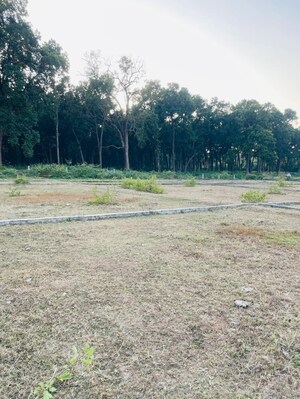 Plot Area in  Plot at Sherpur – for Sale