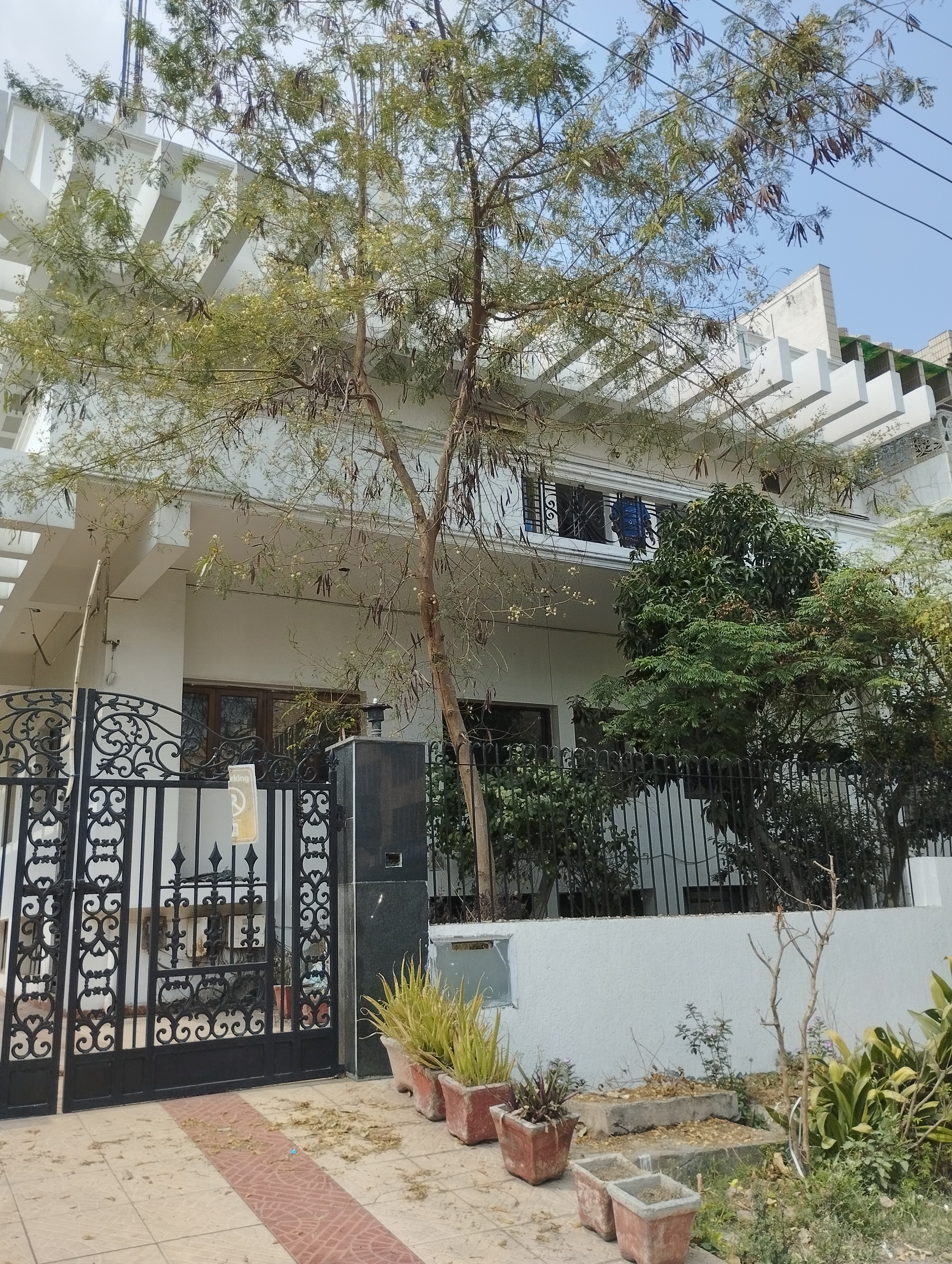 Plot For Sale in Sector 44