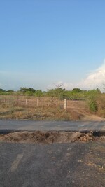 75 Sq.Yd. Plot in Palsana