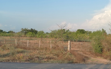 Plot For Sale in Palsana