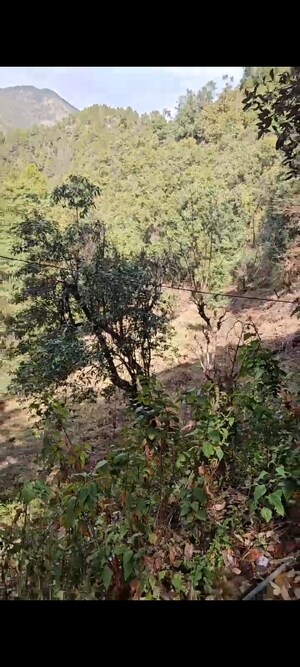  Land – Garden View at Ramgarh - for Sale