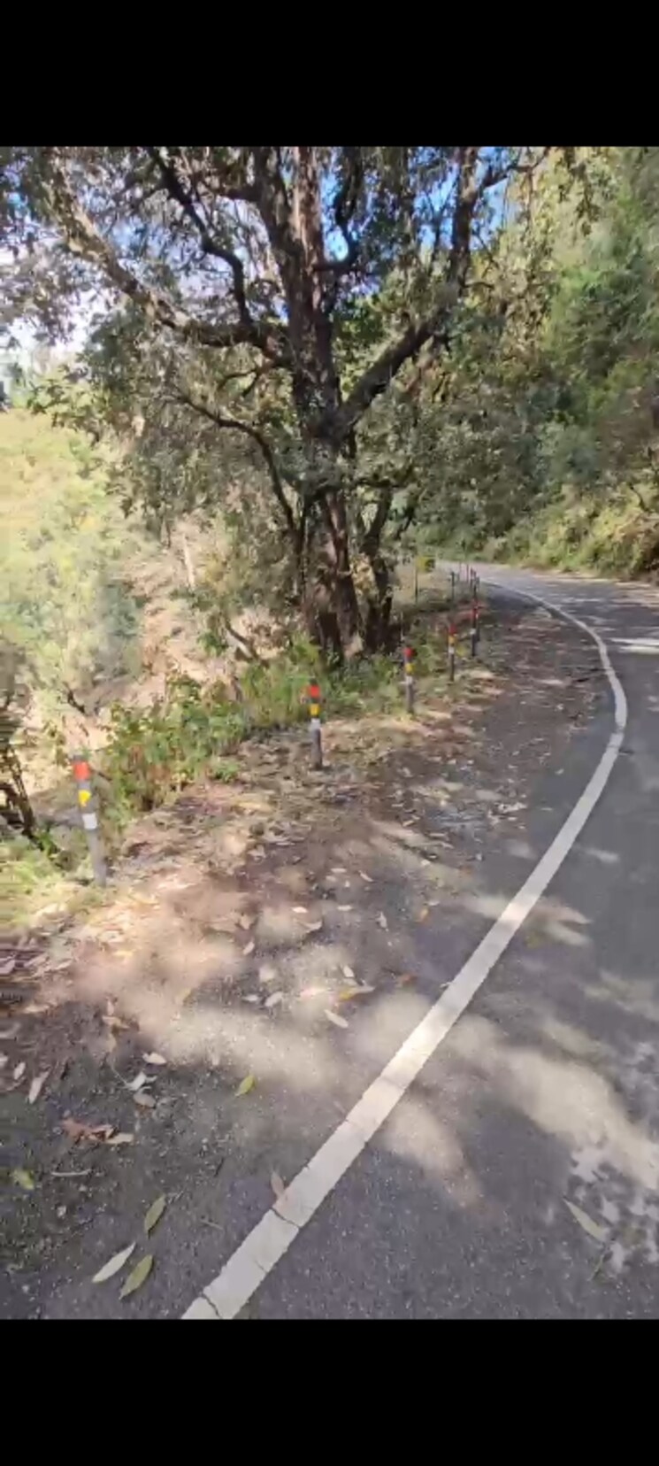 undefined, ramgarh Commercial Land 4300 Sq.Ft. In Ramgarh Nainital 8913695