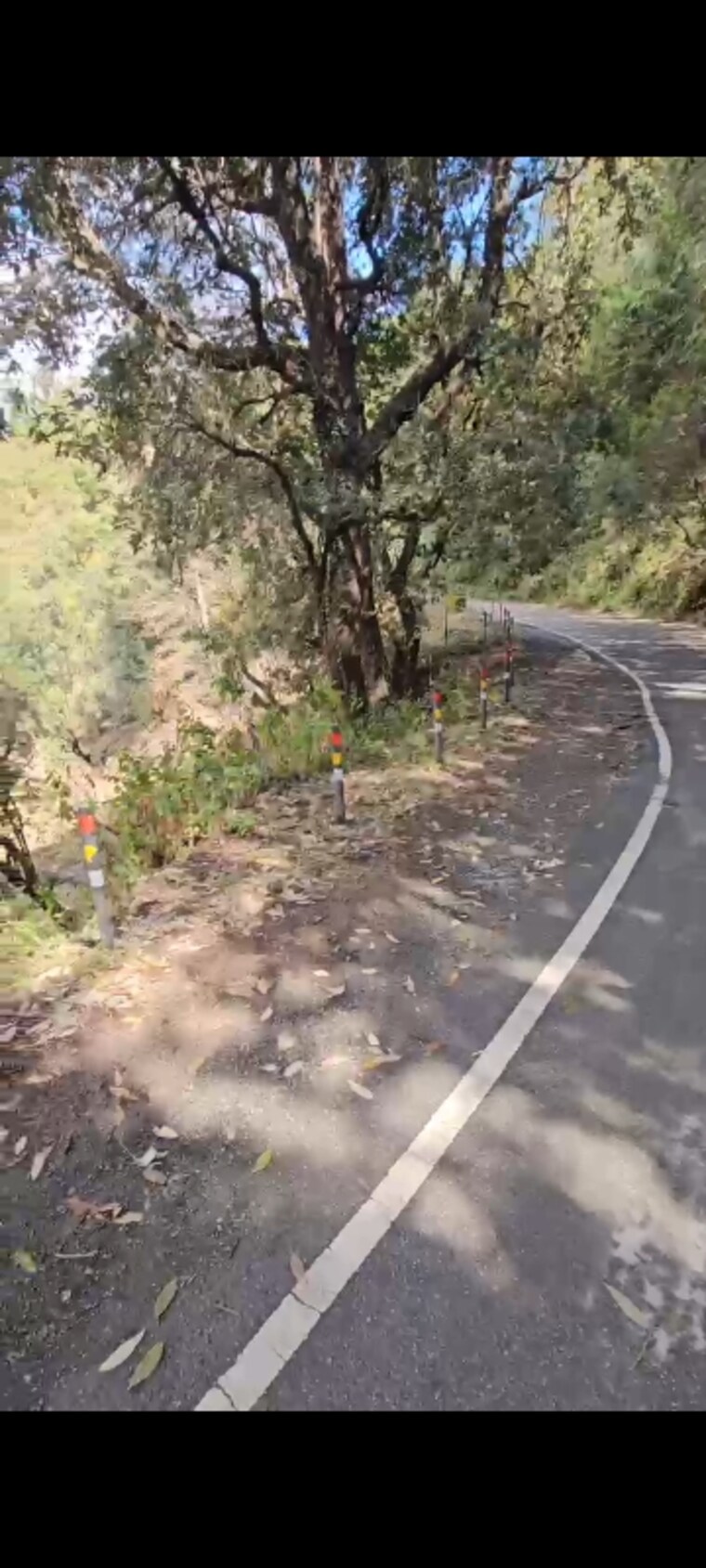 undefined, ramgarh Commercial Land 4300 Sq.Ft. In Ramgarh Nainital 8913695